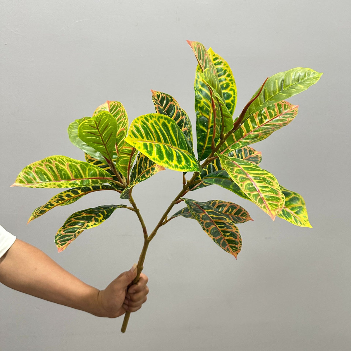 Plante Artificielle Croton, 64 cm, Décoration Intérieure et Extérieure, Style Nordique et Champêtre