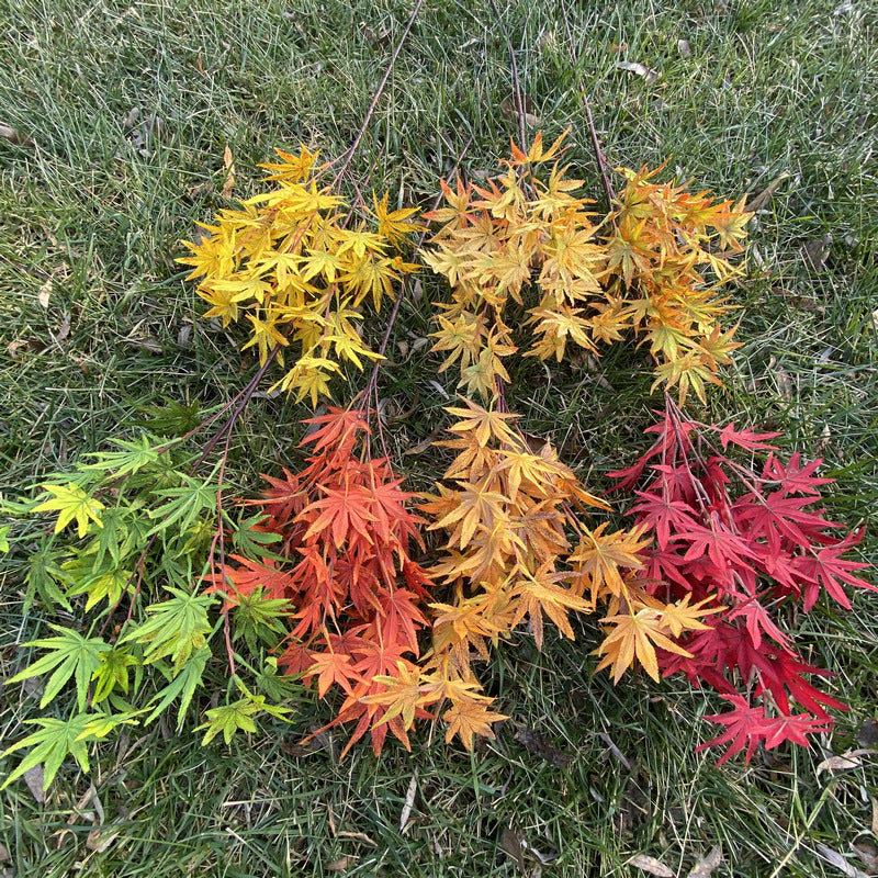 Branche artificielle en tissu soyeux avec feuilles d'érable, 100 cm, idéale pour mariages et décoration intérieure