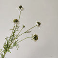 Fleurs artificielles en soie polyester, bouquet de marguerites et orchidées, 74 cm, décoration intérieure