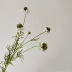 Fleurs artificielles en soie polyester, bouquet de marguerites et orchidées, 74 cm, décoration intérieure