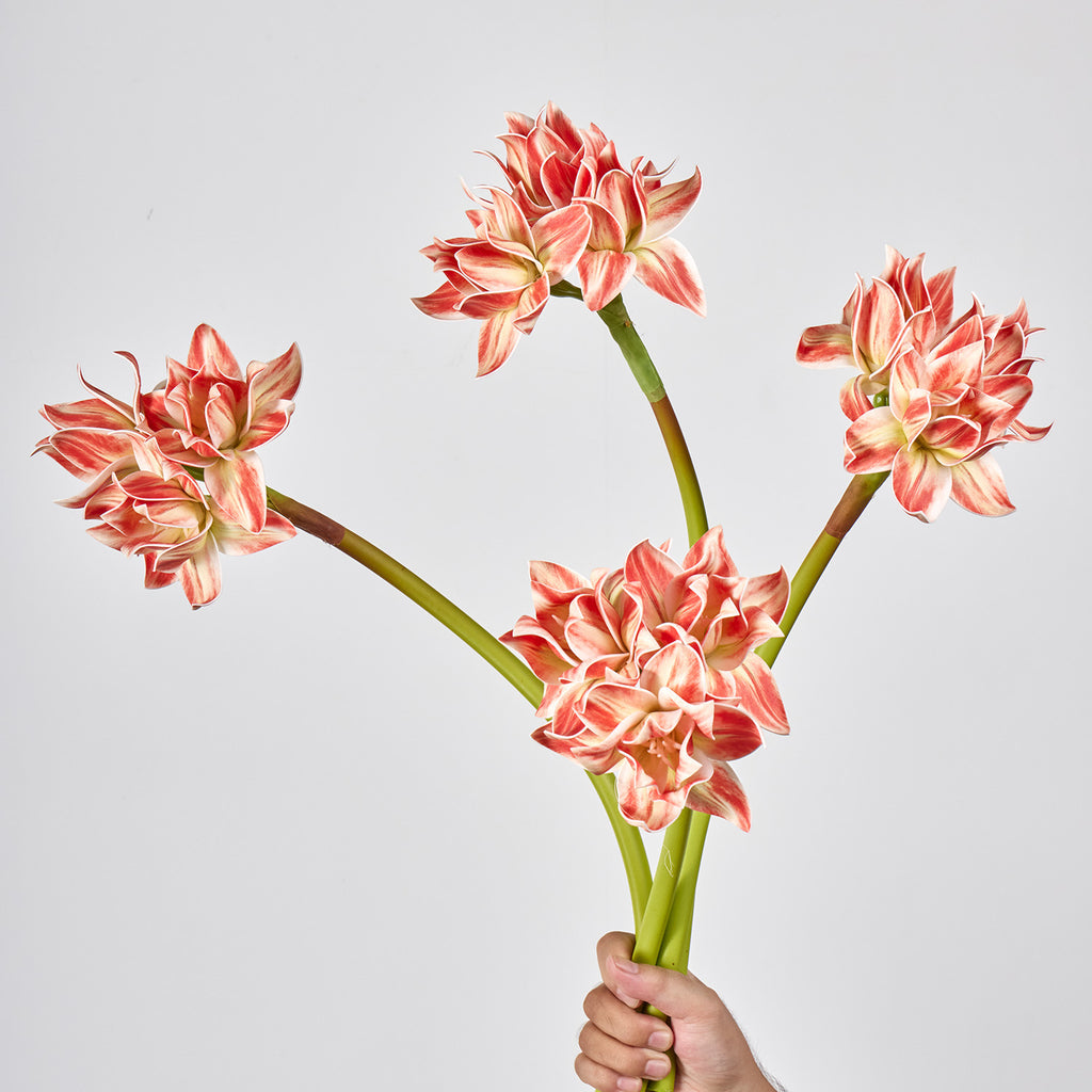 Fleur artificielle Clivia, décoration élégante pour intérieur, 3 fleurs, 56 cm