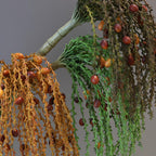 Branche de palmier artificielle élégante, 85 cm, décoration intérieure, style bohème chic