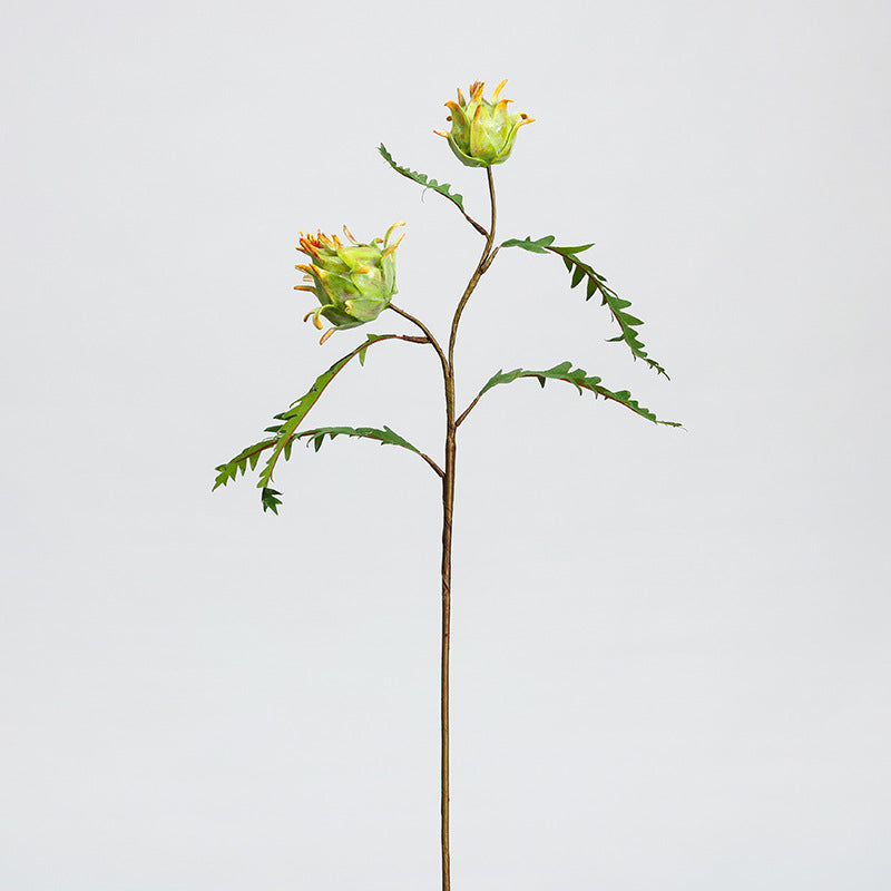 Fleur artificielle de Chardon-Marie à deux têtes, longueur 30 cm, décoration intérieure, style rustique et tropical