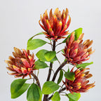 Fleur artificielle haut de gamme Protéa royale d'Afrique du Sud, tige unique de 63 cm, décoration intérieure et mariage