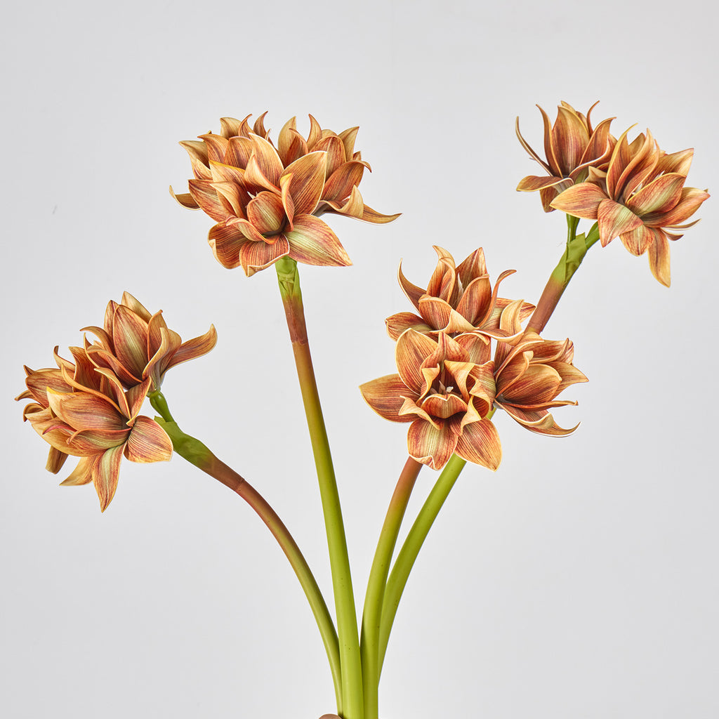 Fleur artificielle Clivia, décoration élégante pour intérieur, 3 fleurs, 56 cm