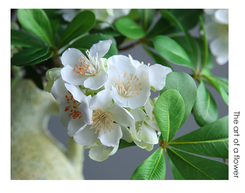 Fleur artificielle Pittosporum, tige unique avec 15 fleurs, 78 cm, tissu soyeux, décoration intérieure