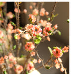 Fleur artificielle en polyester soyeux, tige unique avec 8 fleurs de bougainvillée, 91 cm, décoration intérieure