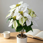 Fleur artificielle de Poinsettia, bouquet de 52 cm, tissu polyester, décoration de Noël, mariage et intérieur