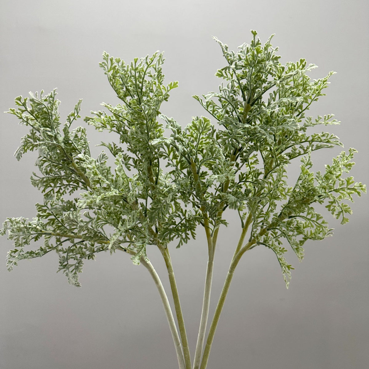 Branche de cinéraire argentée artificielle, 60 cm, décoration intérieure et extérieure