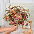 Plante Artificielle Feuillage Coleus, 45 cm, Décoration Intérieure, Style Champêtre et Élégant