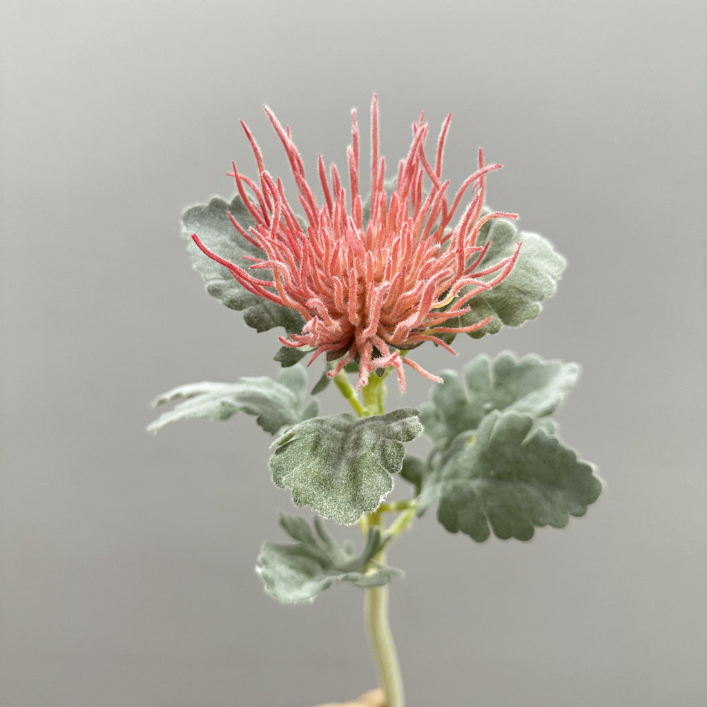 Tige unique d'Eryngium artificiel, 38 cm, en polyester soyeux, idéal pour mariages et décoration intérieure