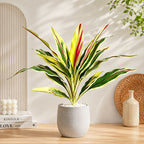 Plante Artificielle en Plastique, Fougère et Colocasia, 55 cm, Décoration Intérieure et Extérieure