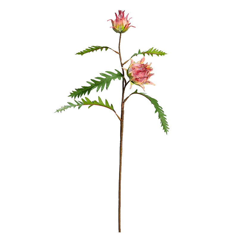 Fleur artificielle de Chardon-Marie à deux têtes, longueur 30 cm, décoration intérieure, style rustique et tropical