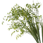 Plante Artificielle Feuillage 2 Branches de Petit Panicaut, 80 cm, Décoration Intérieure et Événementielle