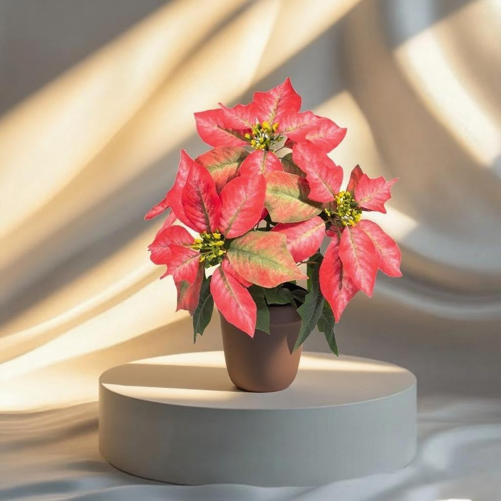 Plante artificielle Poinsettia avec 5 fleurs, 30 cm, plastique, décoration de Noël, intérieur/extérieur