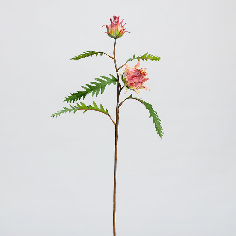 Fleur artificielle de Chardon-Marie à deux têtes, longueur 30 cm, décoration intérieure, style rustique et tropical