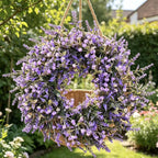Couronne artificielle de gypsophile et lavande, 30 cm, décoration intérieure, mariage, bureau