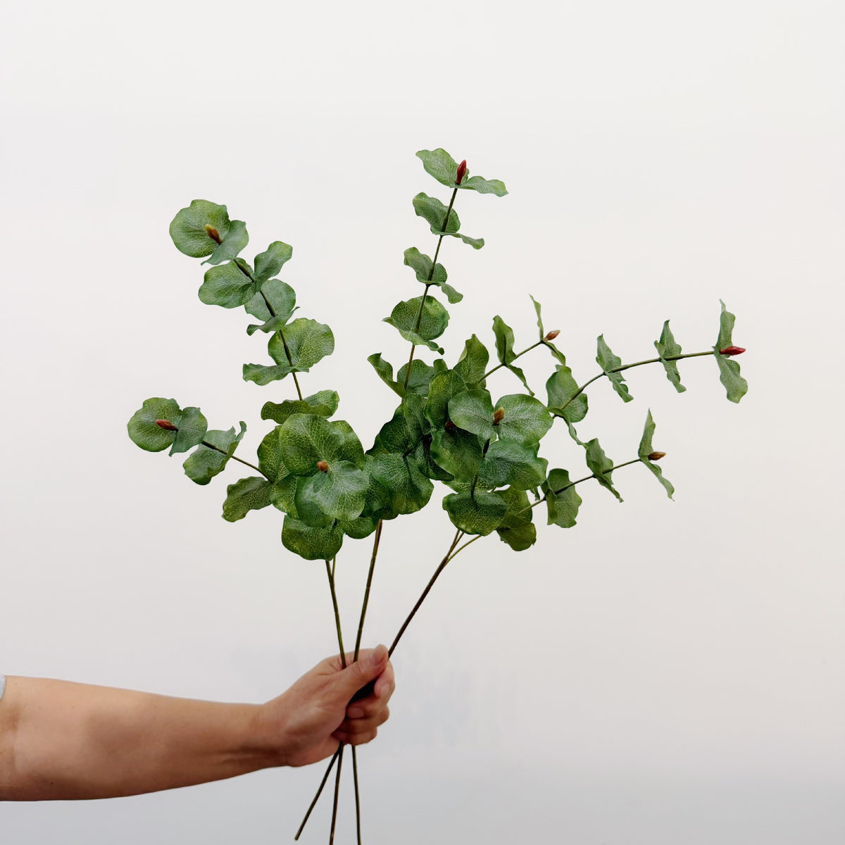 Branche d'eucalyptus artificielle de 65 cm, décoration élégante pour intérieur, mariage ou événement