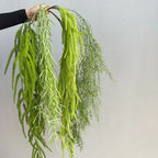 Plante artificielle suspendue Asparagus, décoration murale, 90 cm, style campagne, PE