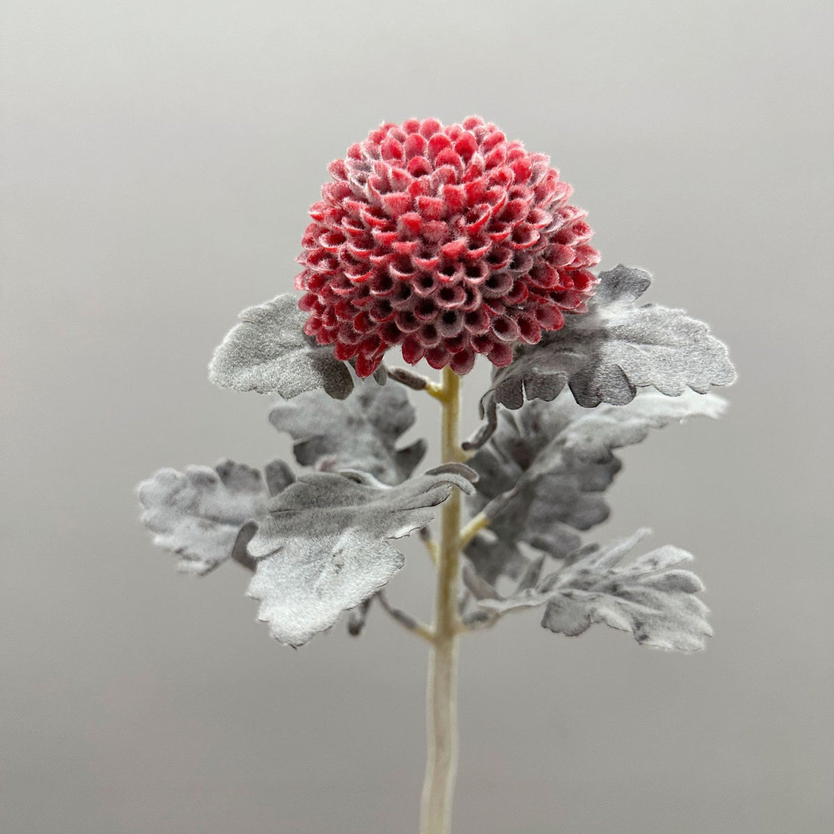 Fleur artificielle Chrysanthème Boule, Tige Unique, 37 cm, Polyester Soie, Décoration Intérieure, Mariage, Bureau