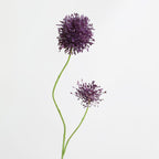 Fleurs artificielles en plastique, Bouquet de 2 têtes d'Allium, 75 cm, Décoration élégante pour mariage, maison et commerce