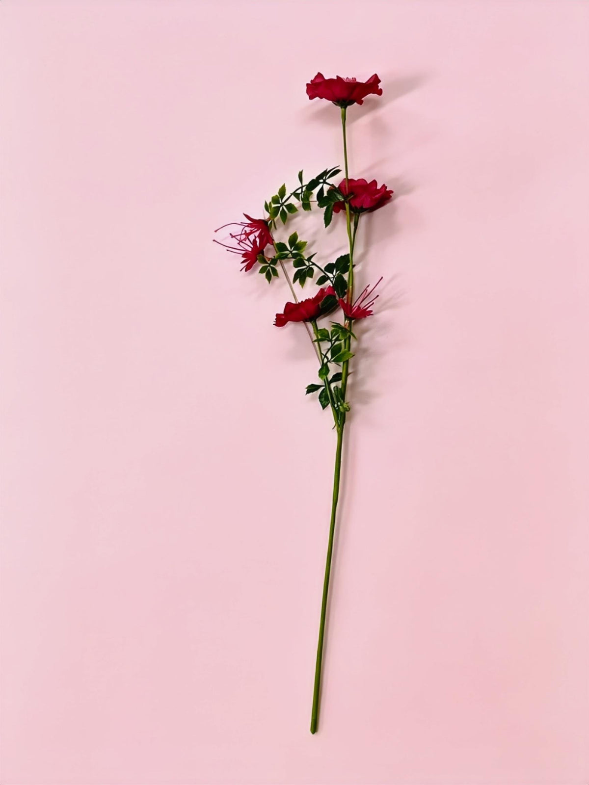 Fleurs artificielles Cosmos, bouquet de 6 fleurs en tissu soyeux, 70 cm, décoration intérieure élégante, mariage et maison