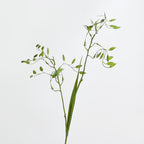 Plante Artificielle Feuillage 2 Branches de Petit Panicaut, 80 cm, Décoration Intérieure et Événementielle