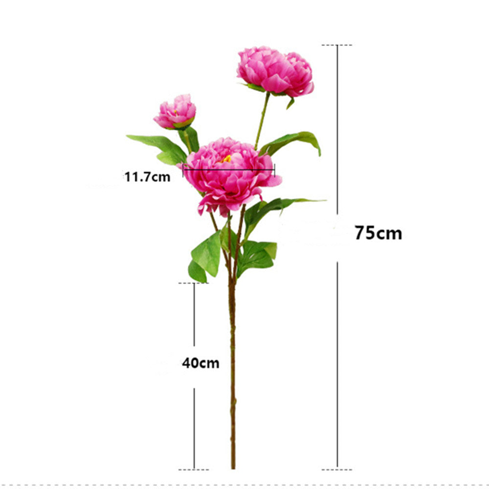 75 cm Tiges Pivoine chinoise de grande taille