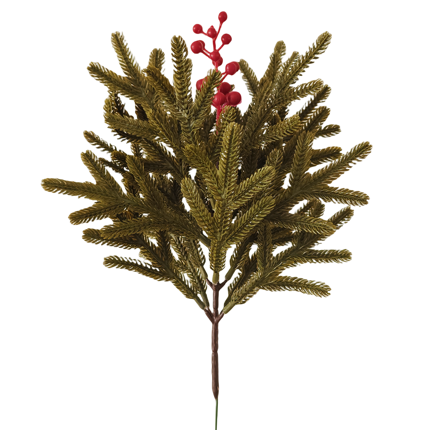 Rameaux de Pin de Norfolk (40cm) avec Baies de Houx Décoration de Noël