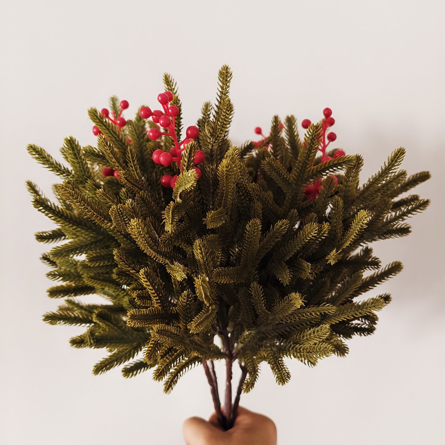 Rameaux de Pin de Norfolk (40cm) avec Baies de Houx Décoration de Noël