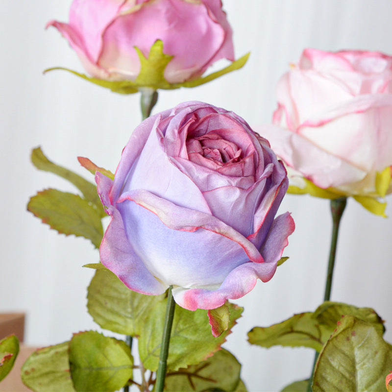 67 cm Rose artificielle en soie vintage à bords brûlés Idéale pour le mariage et la décoration intérieure