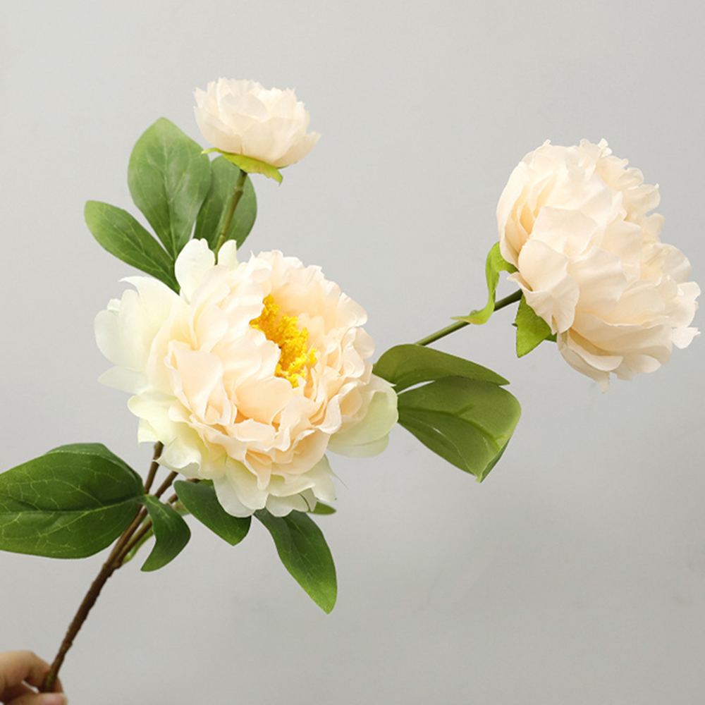 75 cm Tiges Pivoine chinoise de grande taille