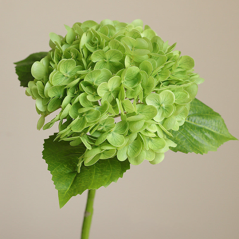 51 cm Hortensias artificiels à toucher réaliste avec tiges – Pour décoration intérieure, bouquets de mariage, centres de table et vases