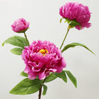 75 cm Tiges Pivoine chinoise de grande taille