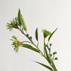 76 cm Tige de myrte citron pour pièce verte