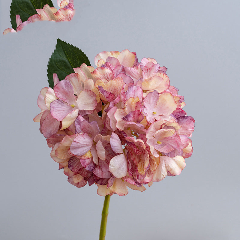 Hortensias Artificiels Vintage 35 cm, Lot de Fleurs d'Automne-Hiver Effet Séché, pour Décoration d'Intérieur, Cheminée, Bouquet, Ambiance Chaleureuse