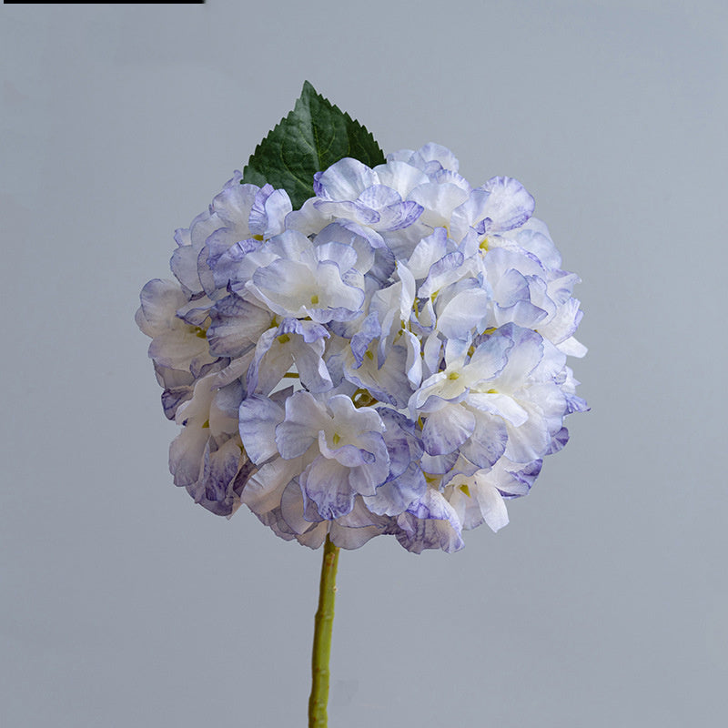 Hortensias Artificiels Vintage 35 cm, Lot de Fleurs d'Automne-Hiver Effet Séché, pour Décoration d'Intérieur, Cheminée, Bouquet, Ambiance Chaleureuse