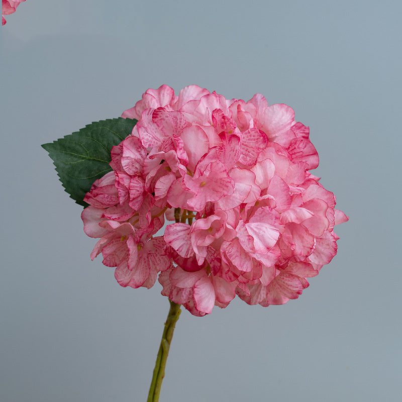 Hortensias Artificiels Vintage 35 cm, Lot de Fleurs d'Automne-Hiver Effet Séché, pour Décoration d'Intérieur, Cheminée, Bouquet, Ambiance Chaleureuse