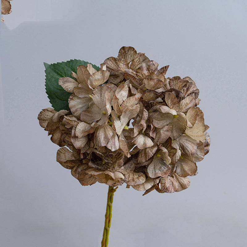Hortensias Artificiels Vintage 35 cm, Lot de Fleurs d'Automne-Hiver Effet Séché, pour Décoration d'Intérieur, Cheminée, Bouquet, Ambiance Chaleureuse