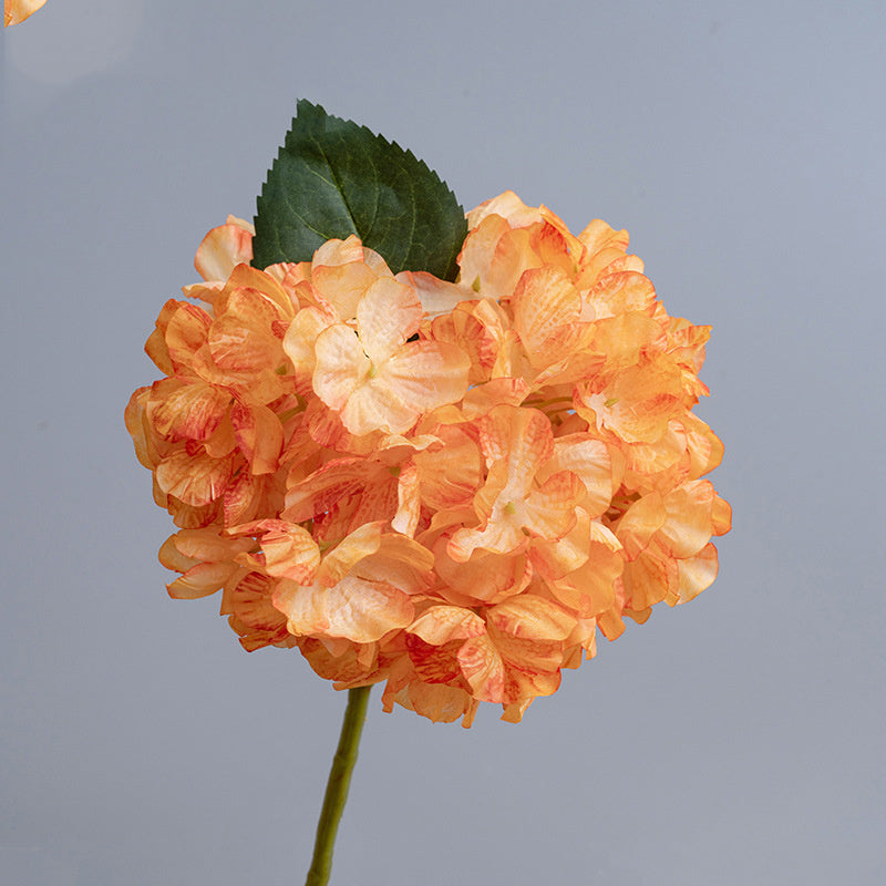 Hortensias Artificiels Vintage 35 cm, Lot de Fleurs d'Automne-Hiver Effet Séché, pour Décoration d'Intérieur, Cheminée, Bouquet, Ambiance Chaleureuse