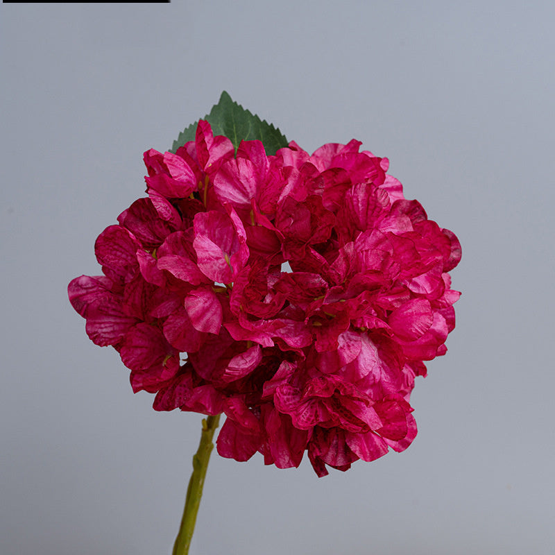 Hortensias Artificiels Vintage 35 cm, Lot de Fleurs d'Automne-Hiver Effet Séché, pour Décoration d'Intérieur, Cheminée, Bouquet, Ambiance Chaleureuse
