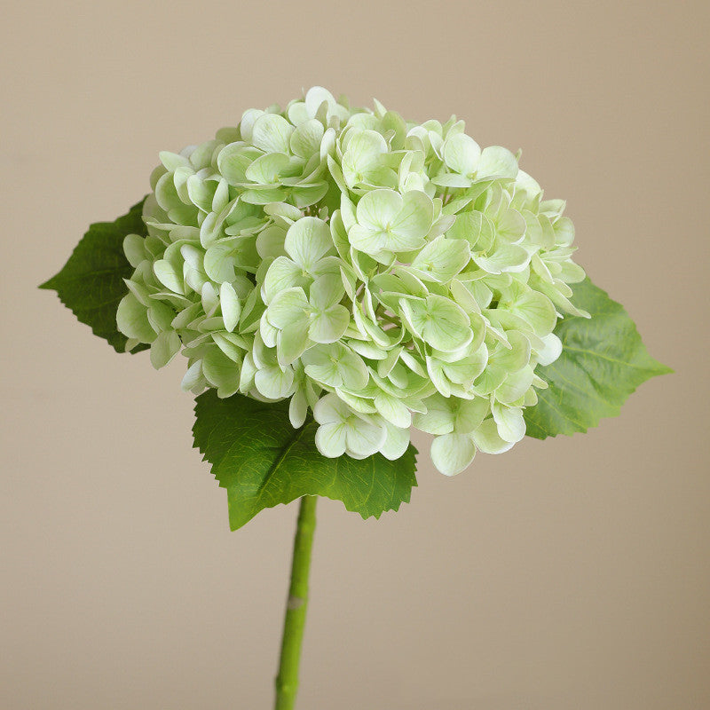 51 cm Hortensias artificiels à toucher réaliste avec tiges – Pour décoration intérieure, bouquets de mariage, centres de table et vases