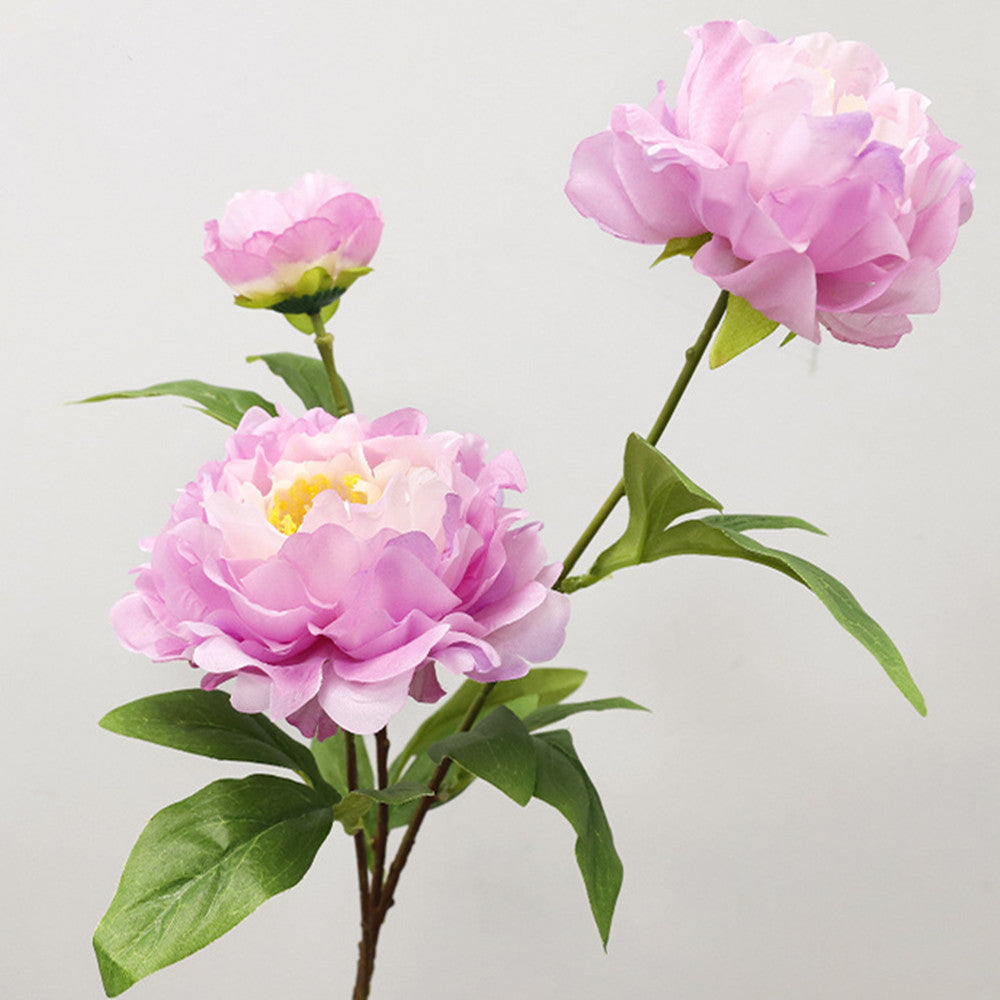 75 cm Tiges Pivoine chinoise de grande taille