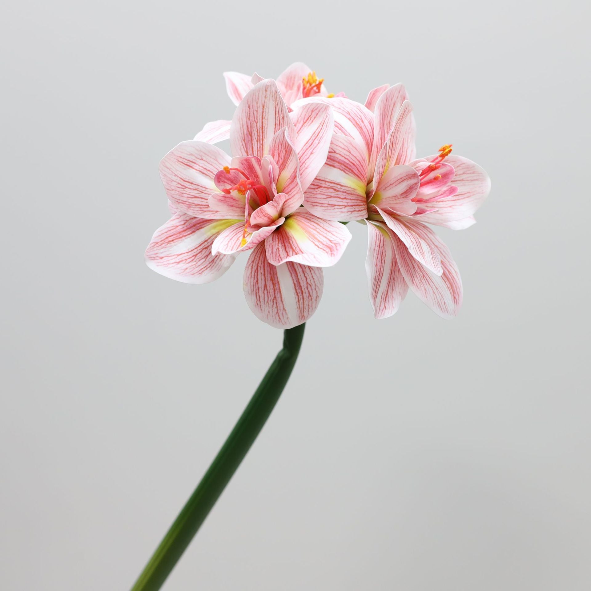 62cm Amaryllis Artificielle - Fleur Fausse Realiste pour Decoration Interieure Déco de Noël