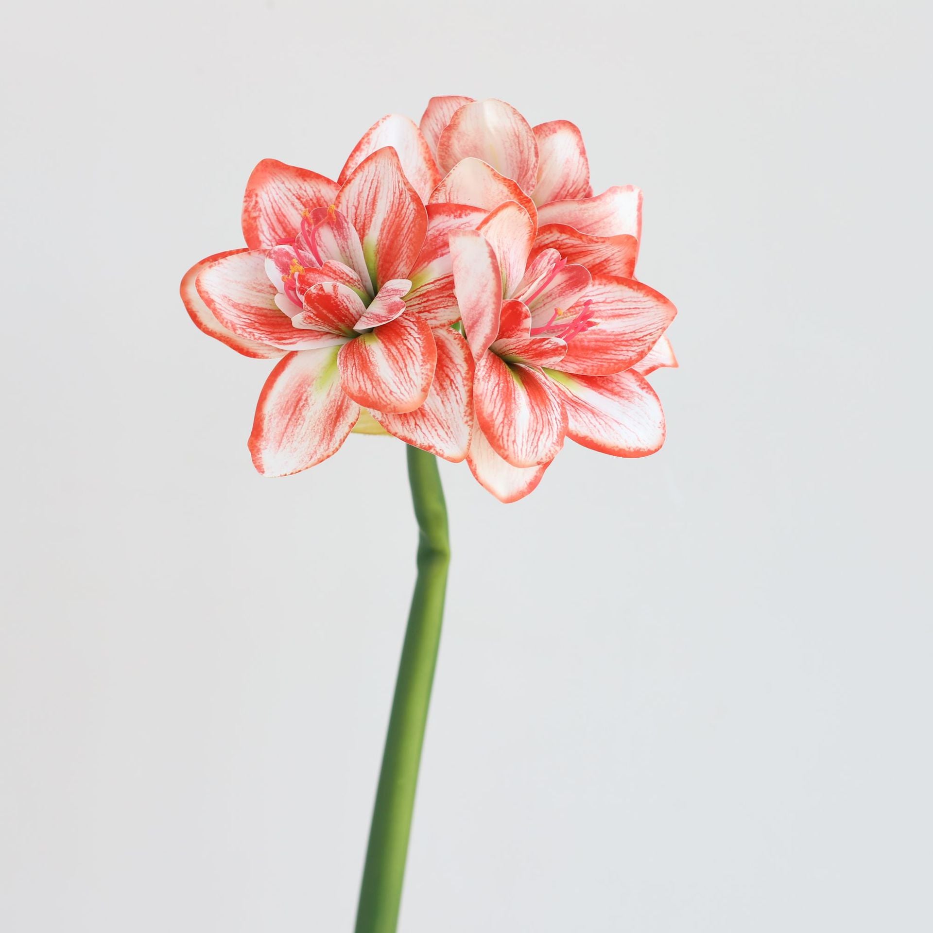 62cm Amaryllis Artificielle - Fleur Fausse Realiste pour Decoration Interieure Déco de Noël