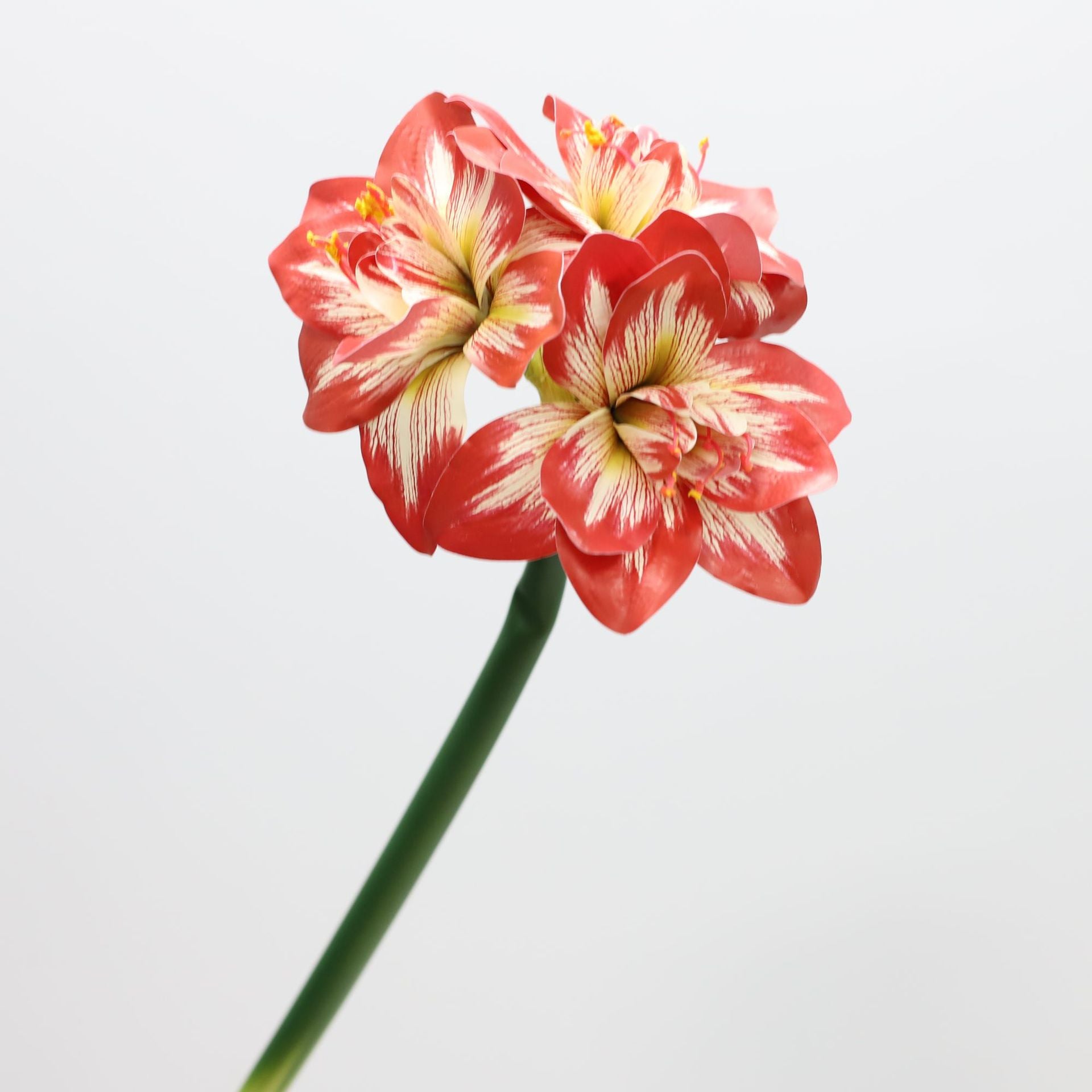 62cm Amaryllis Artificielle - Fleur Fausse Realiste pour Decoration Interieure Déco de Noël