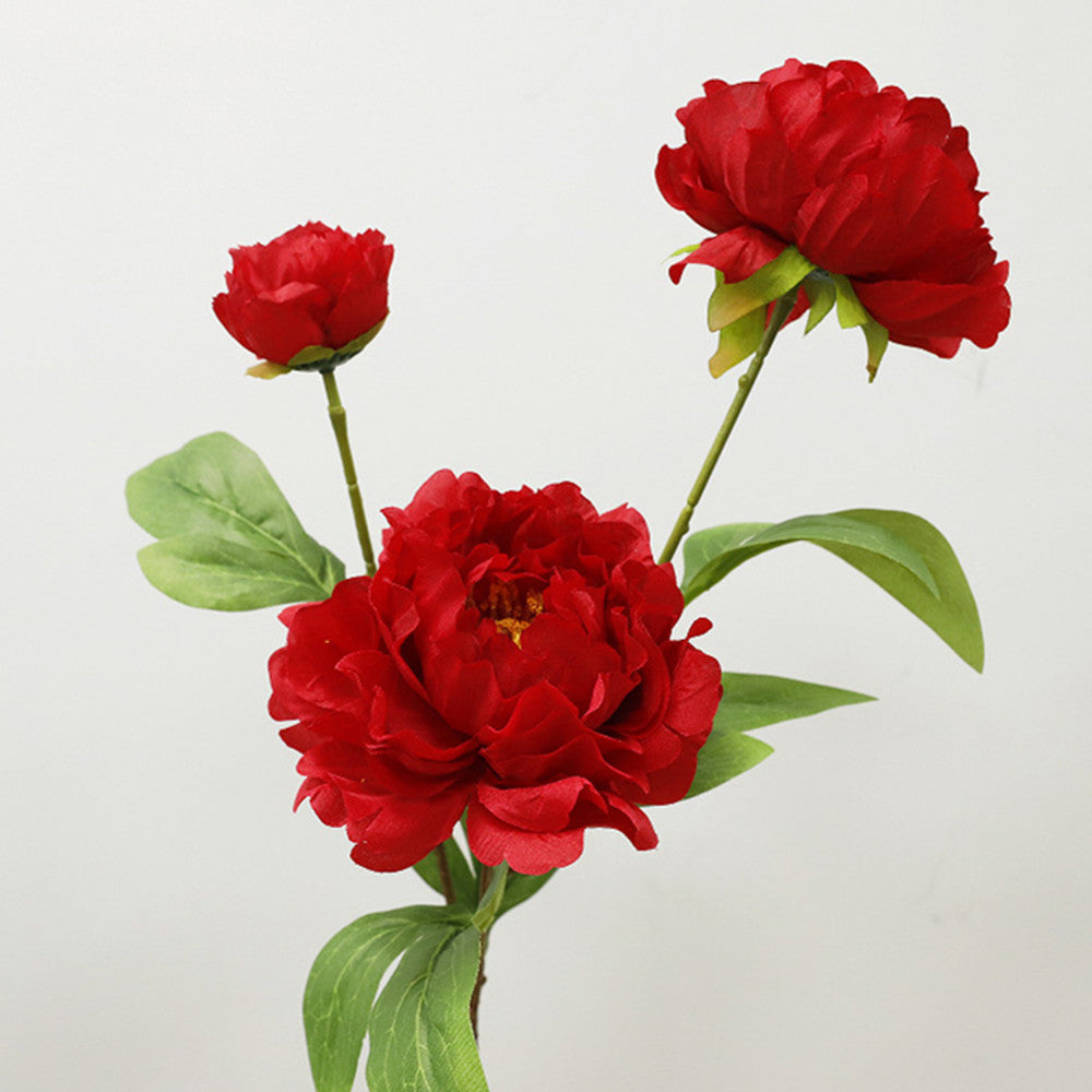 75 cm Tiges Pivoine chinoise de grande taille