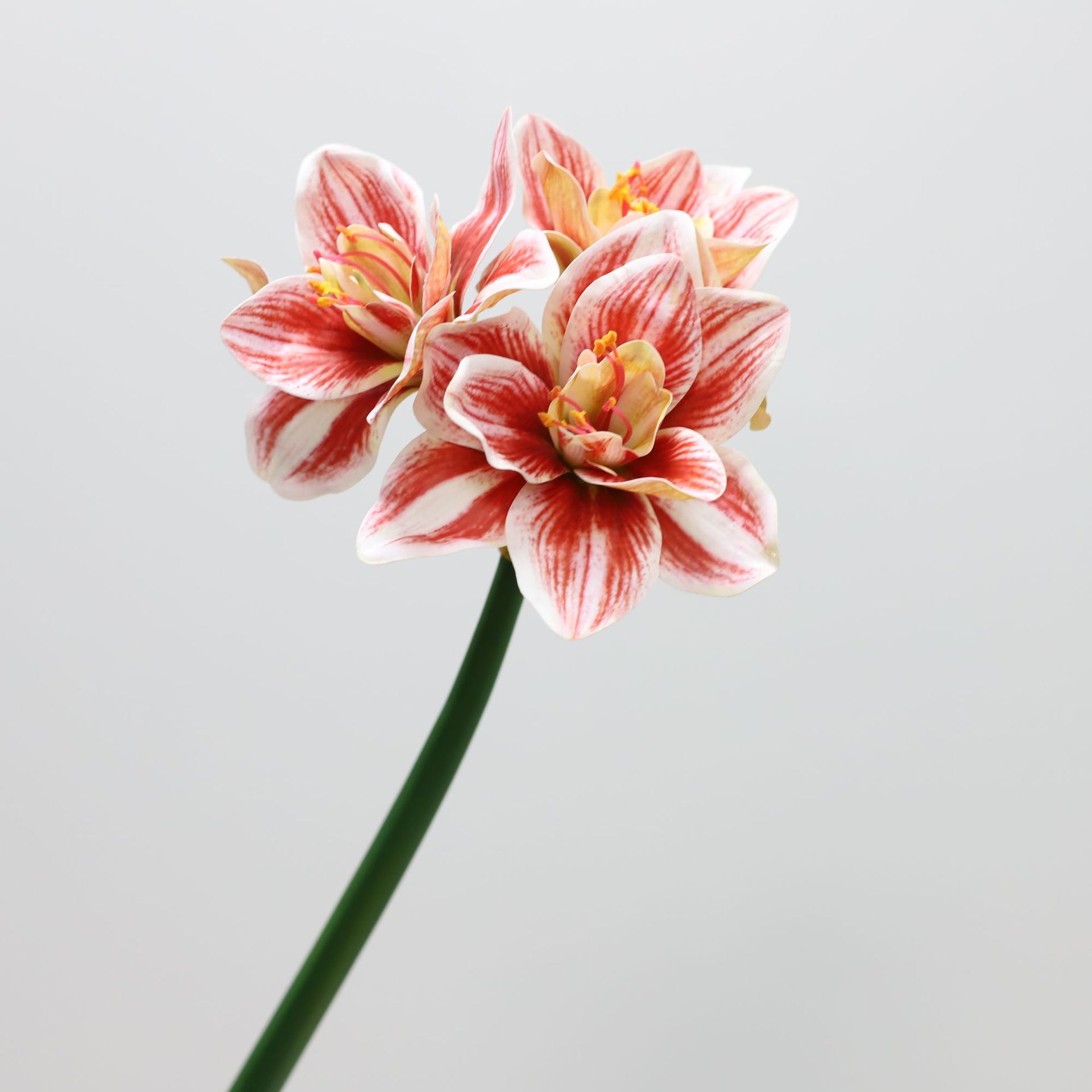 62cm Amaryllis Artificielle - Fleur Fausse Realiste pour Decoration Interieure Déco de Noël