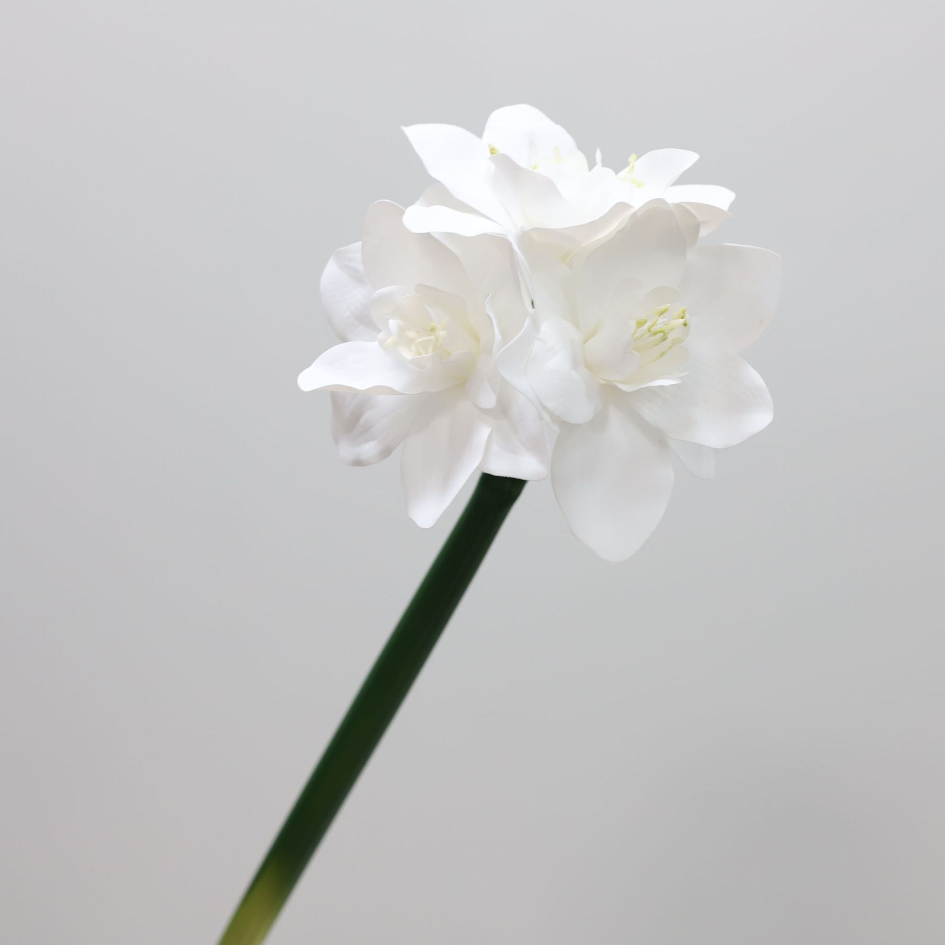 62cm Amaryllis Artificielle - Fleur Fausse Realiste pour Decoration Interieure Déco de Noël