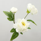 75 cm Tiges Pivoine chinoise de grande taille